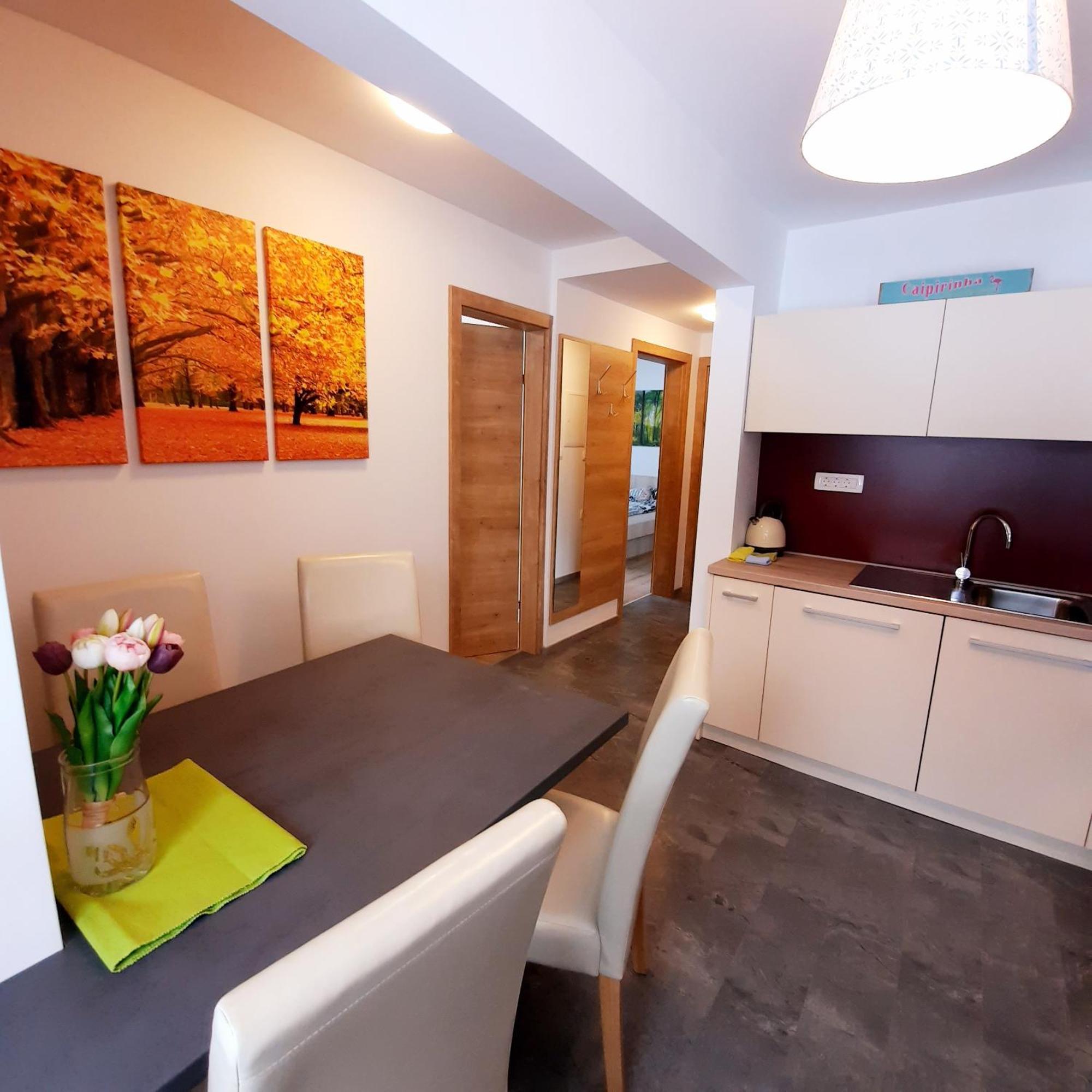 Apartma Rozle موجسترانا المظهر الخارجي الصورة